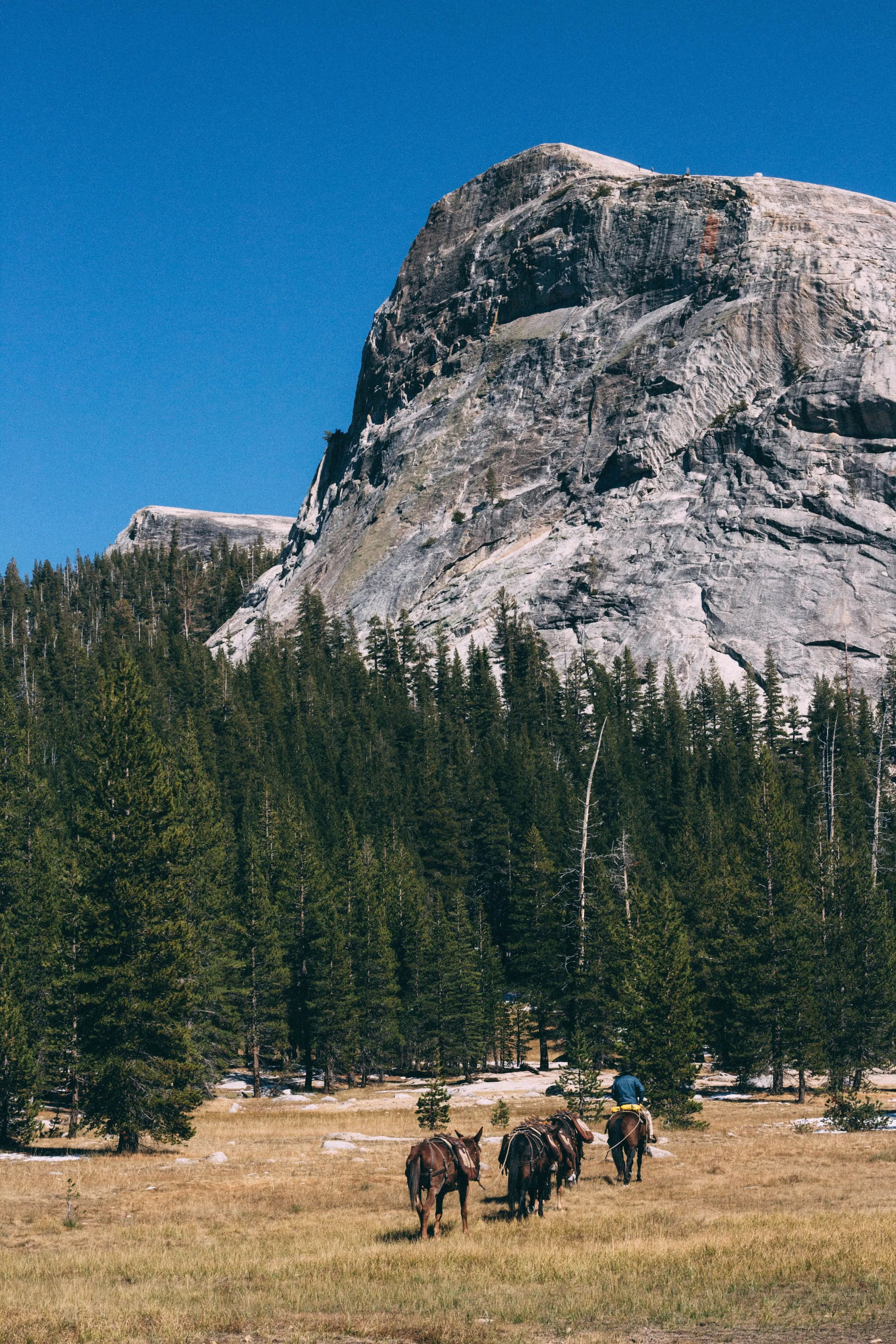 Backpacking Yosemite: Glen Aulin