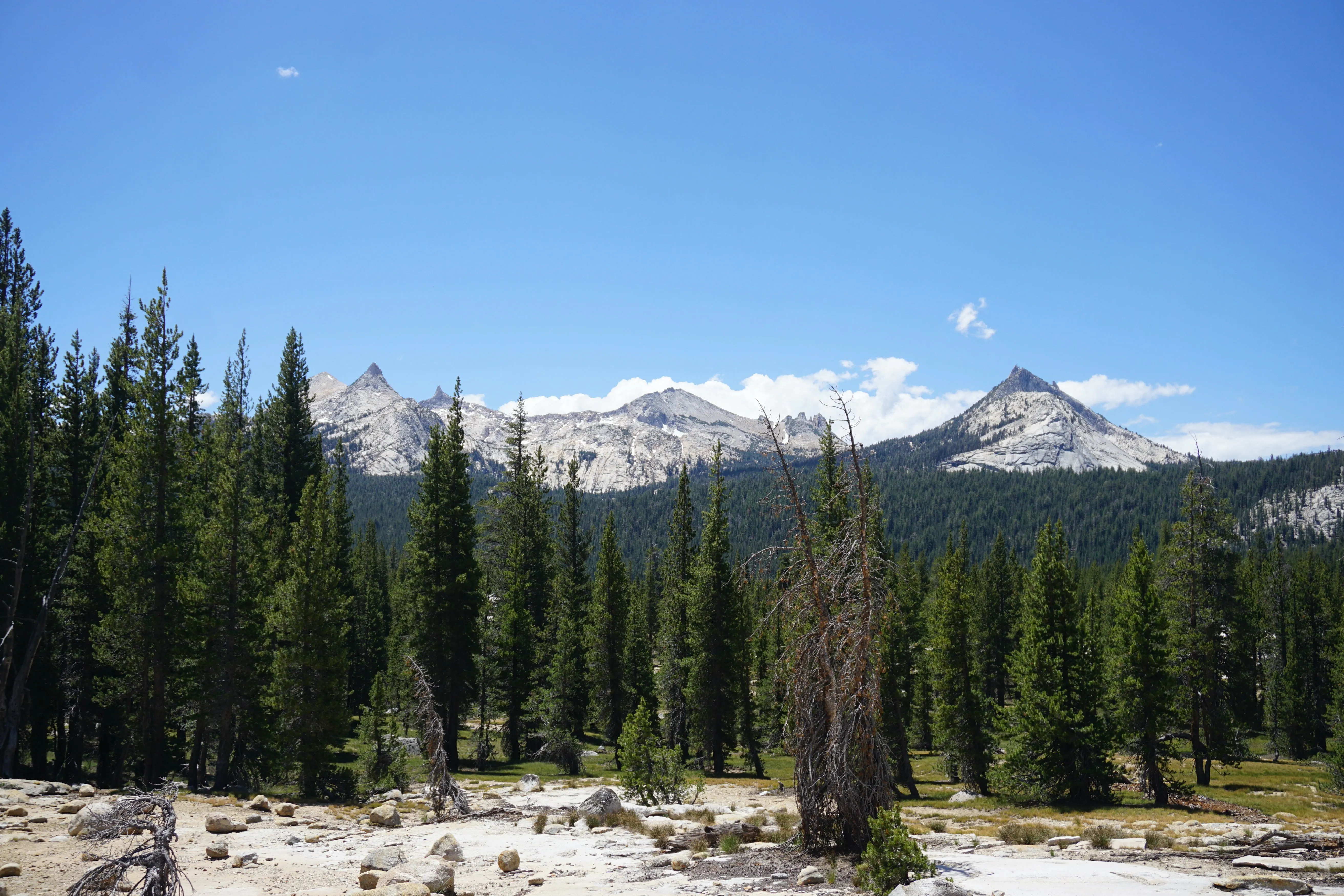 Backpacking Yosemite: Glen Aulin