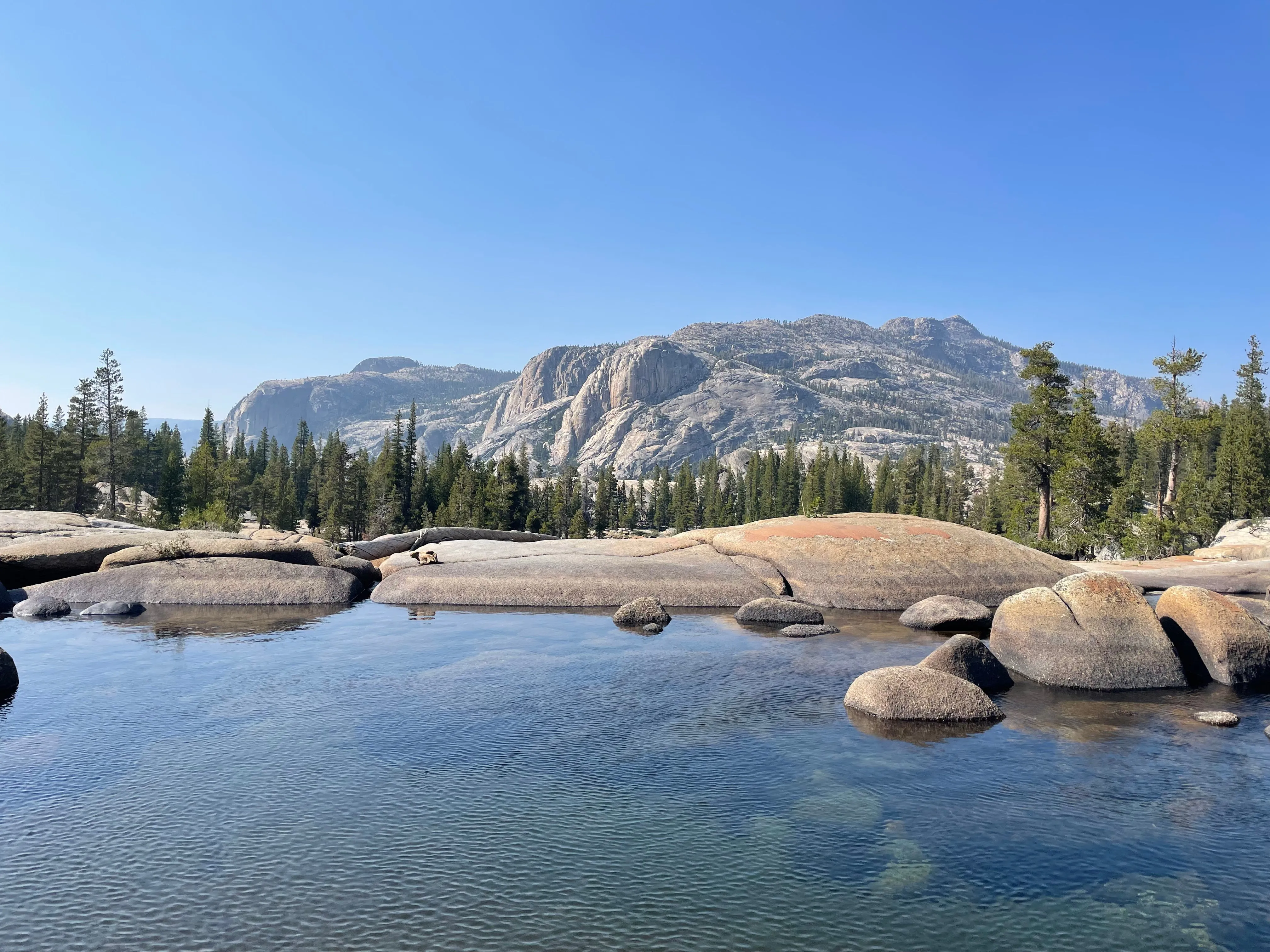 Backpacking Yosemite: Glen Aulin