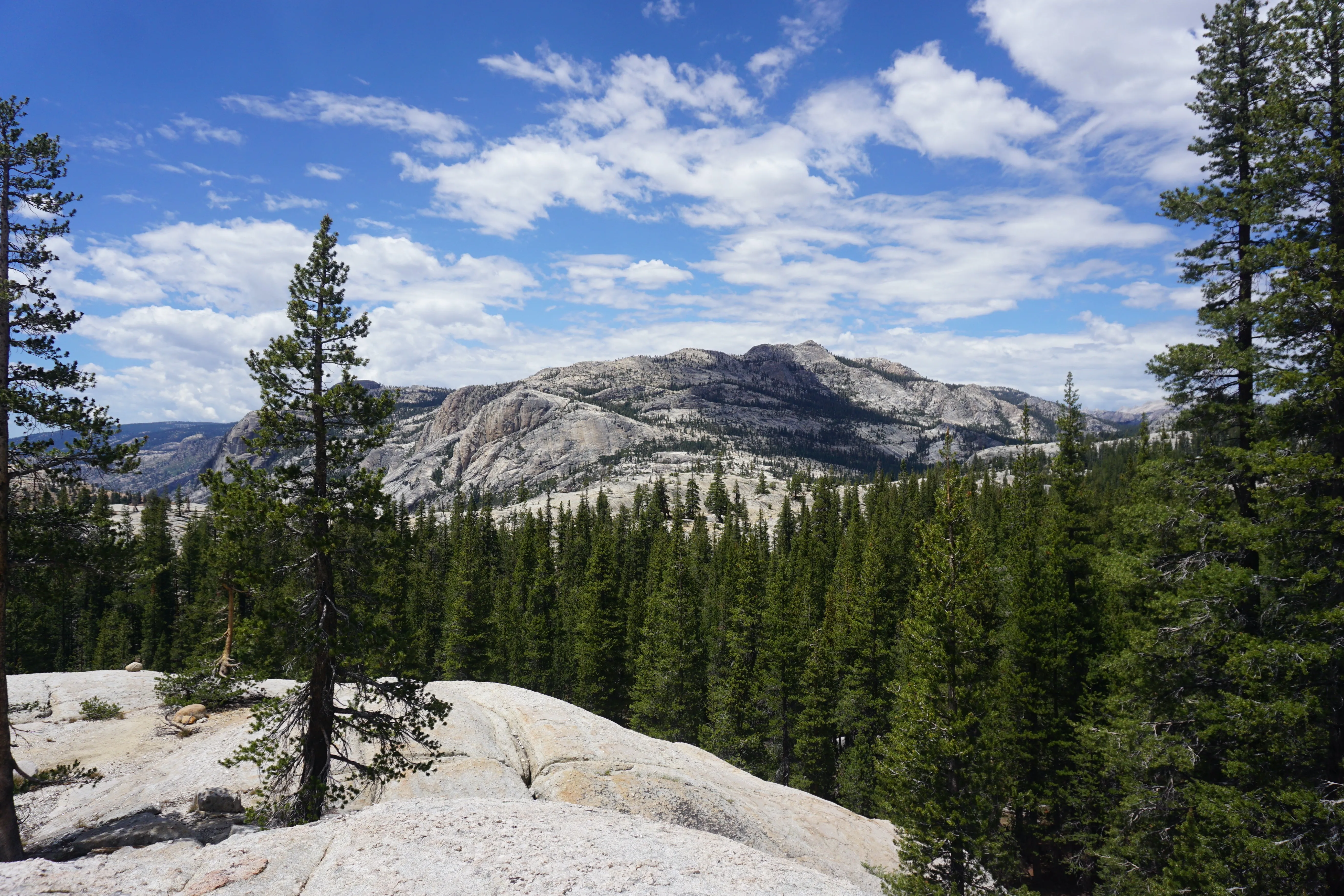 Backpacking Yosemite: Glen Aulin