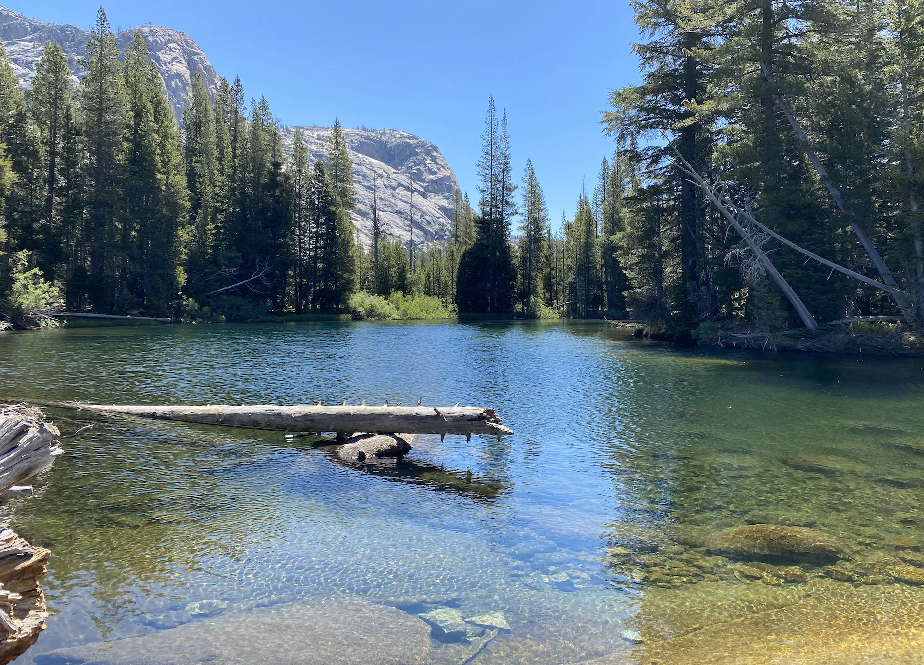 Backpacking Yosemite: Glen Aulin