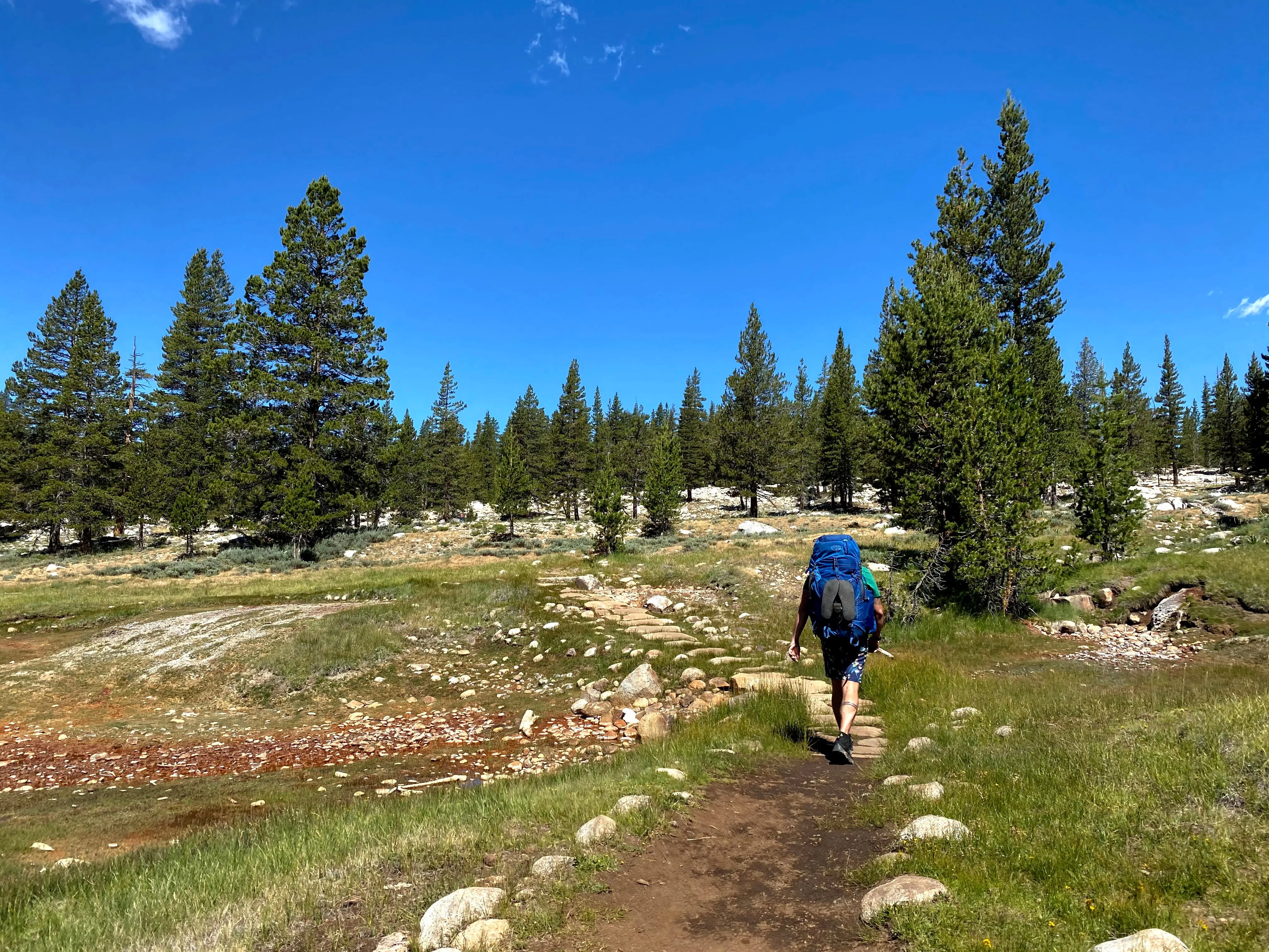 Backpacking Yosemite: Glen Aulin