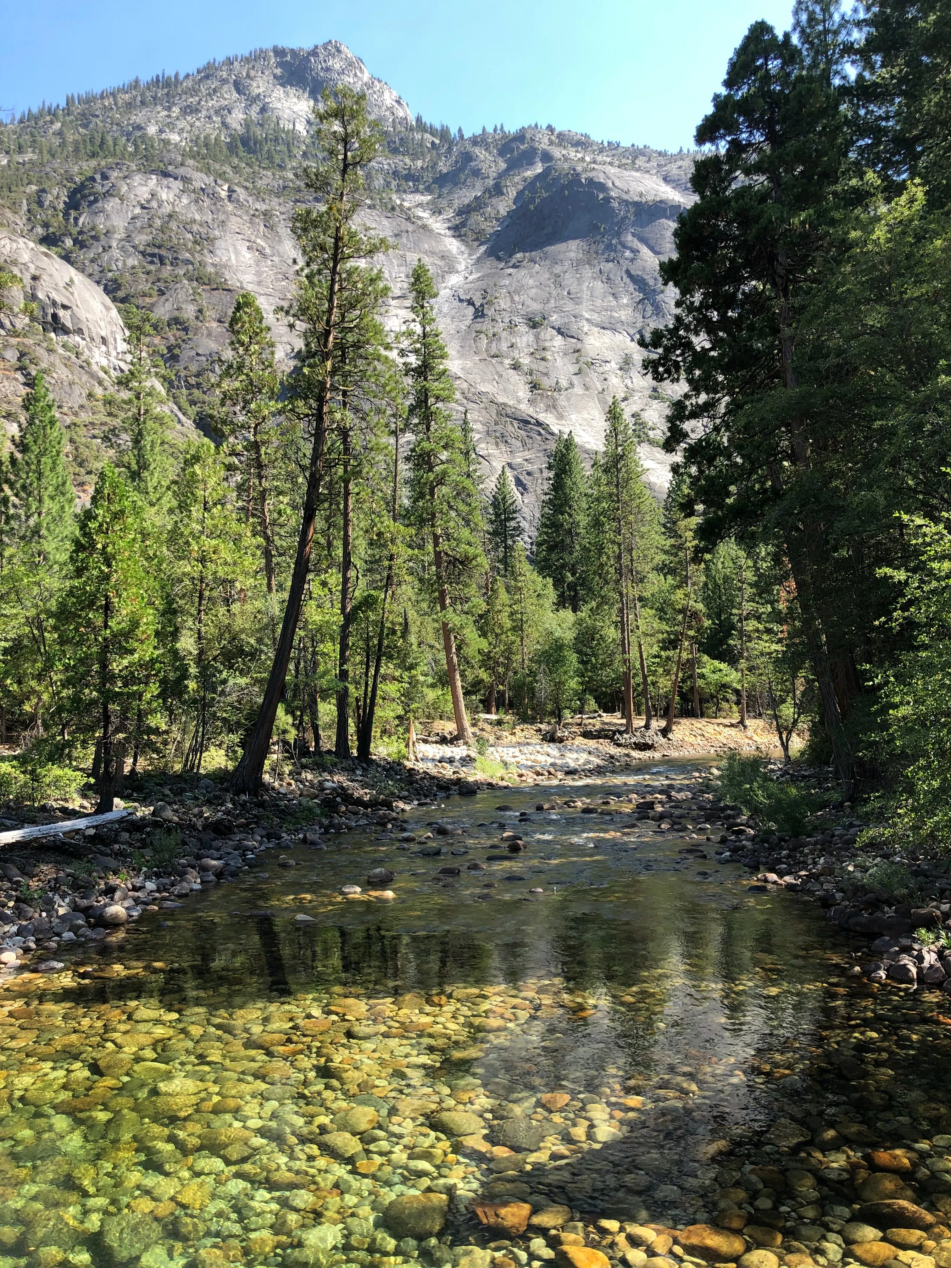 Backpacking Yosemite: Grand Canyon of the Tuolumne River