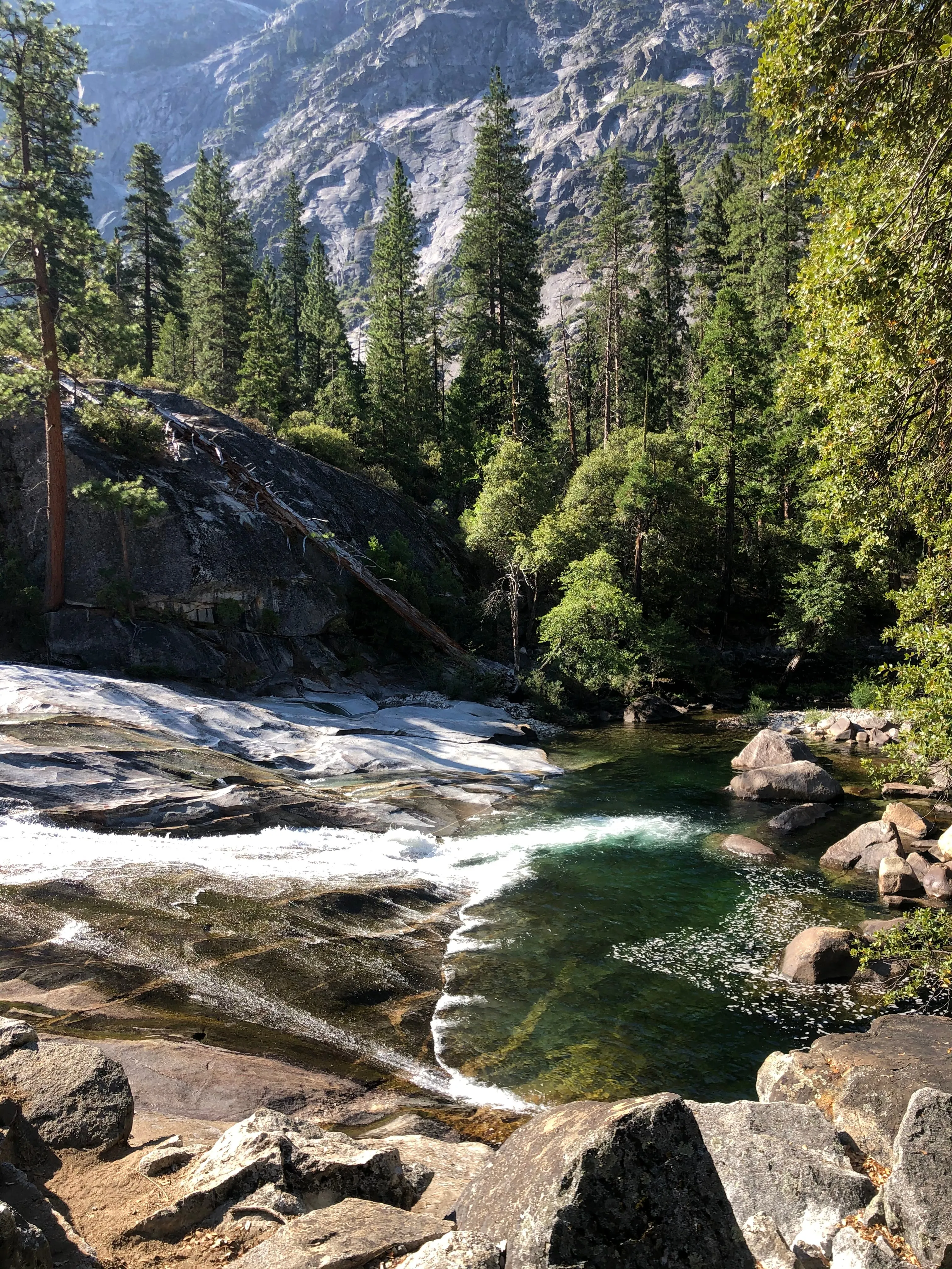 Backpacking Yosemite: Grand Canyon of the Tuolumne River