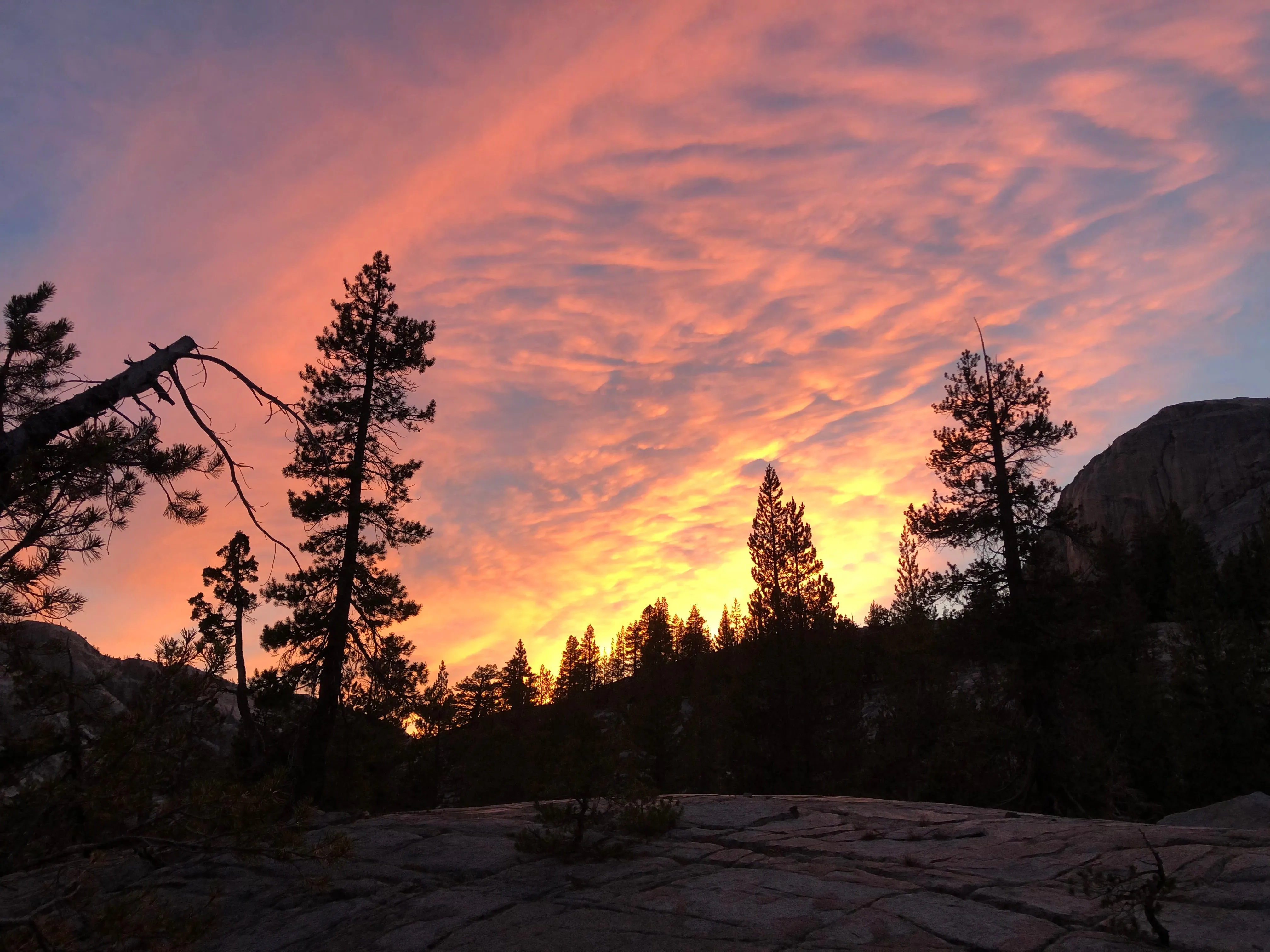 Backpacking Yosemite: Grand Canyon of the Tuolumne River