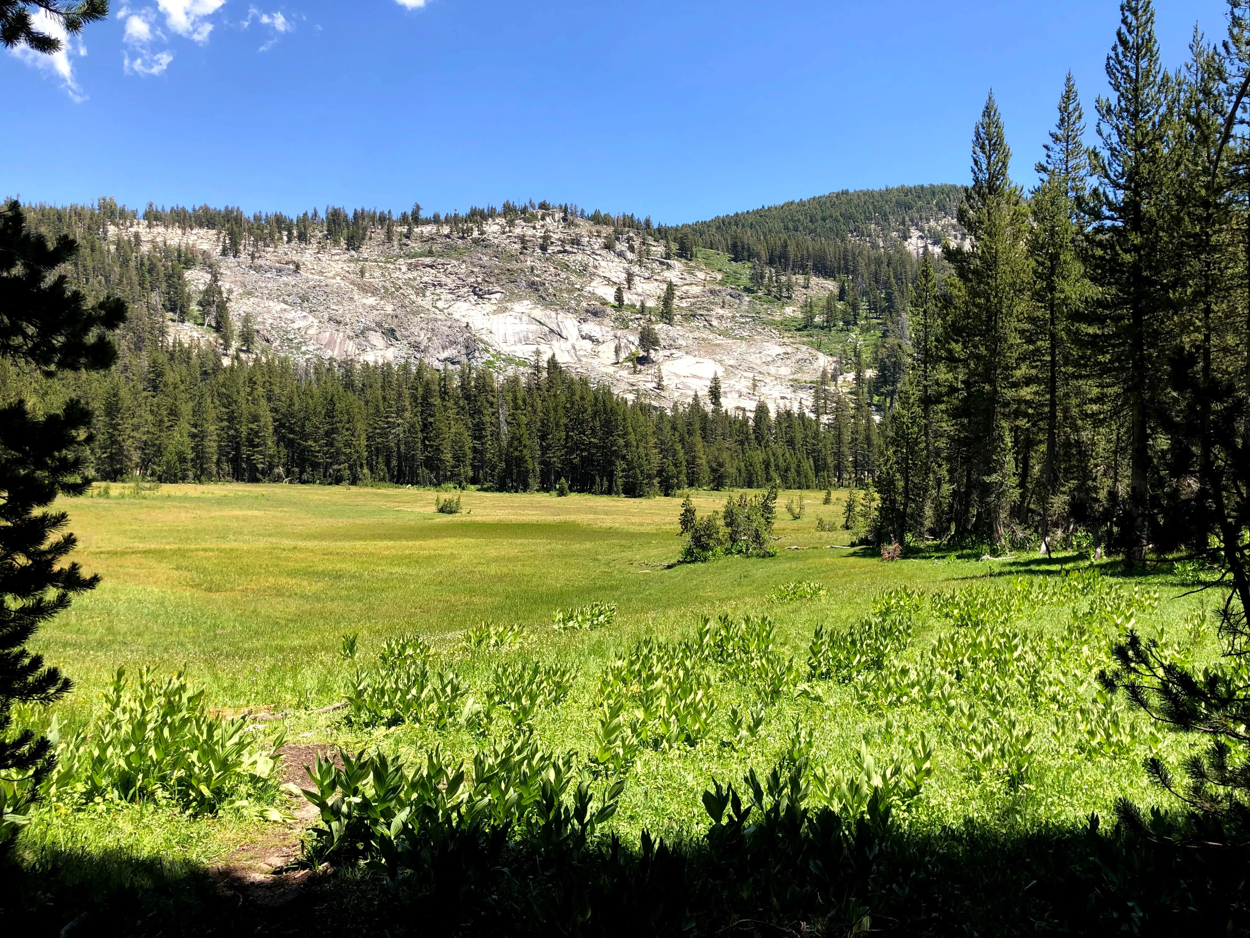 Backpacking Yosemite: Ten Lakes