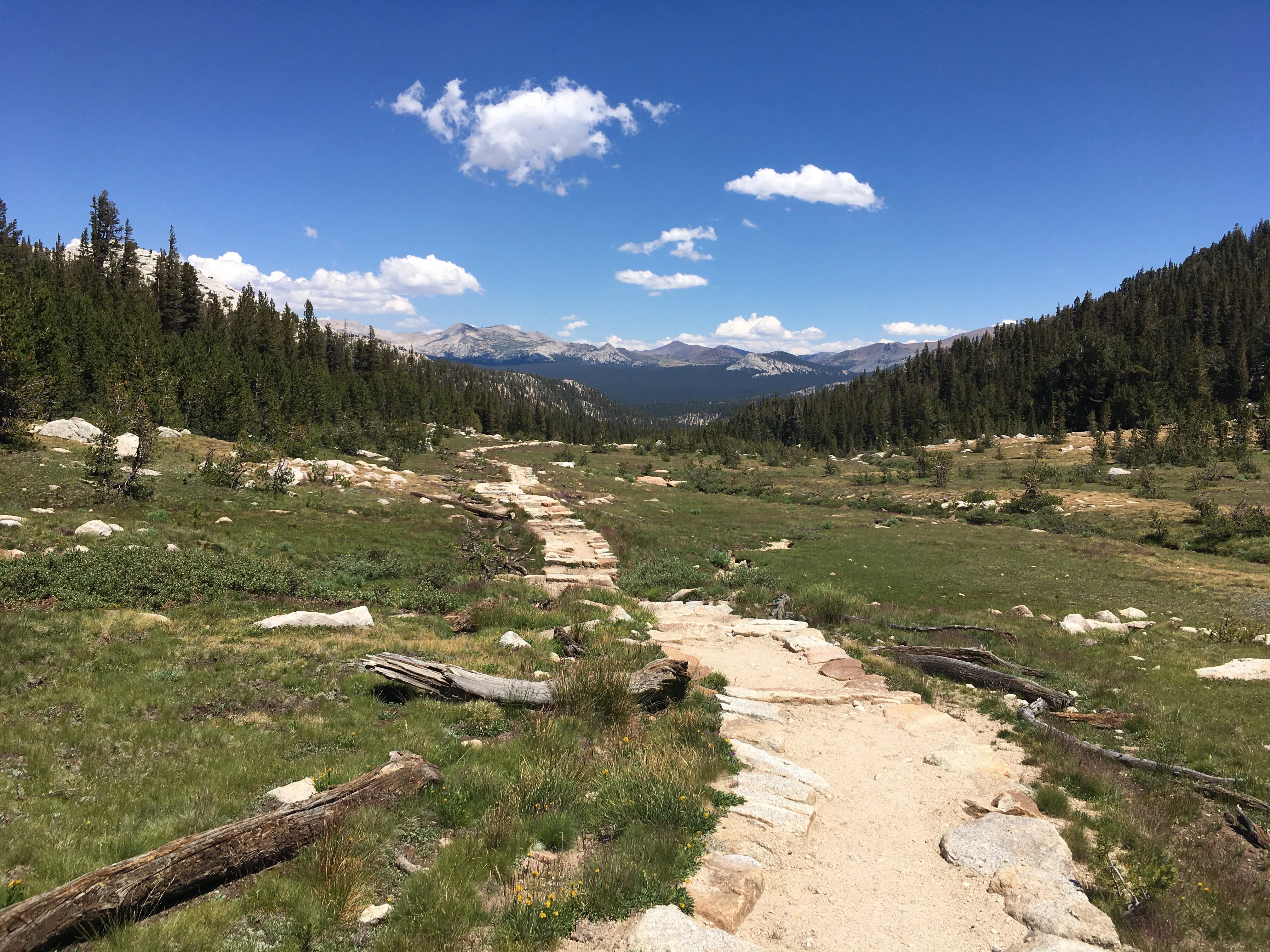 Backpacking Yosemite: Vogelsang