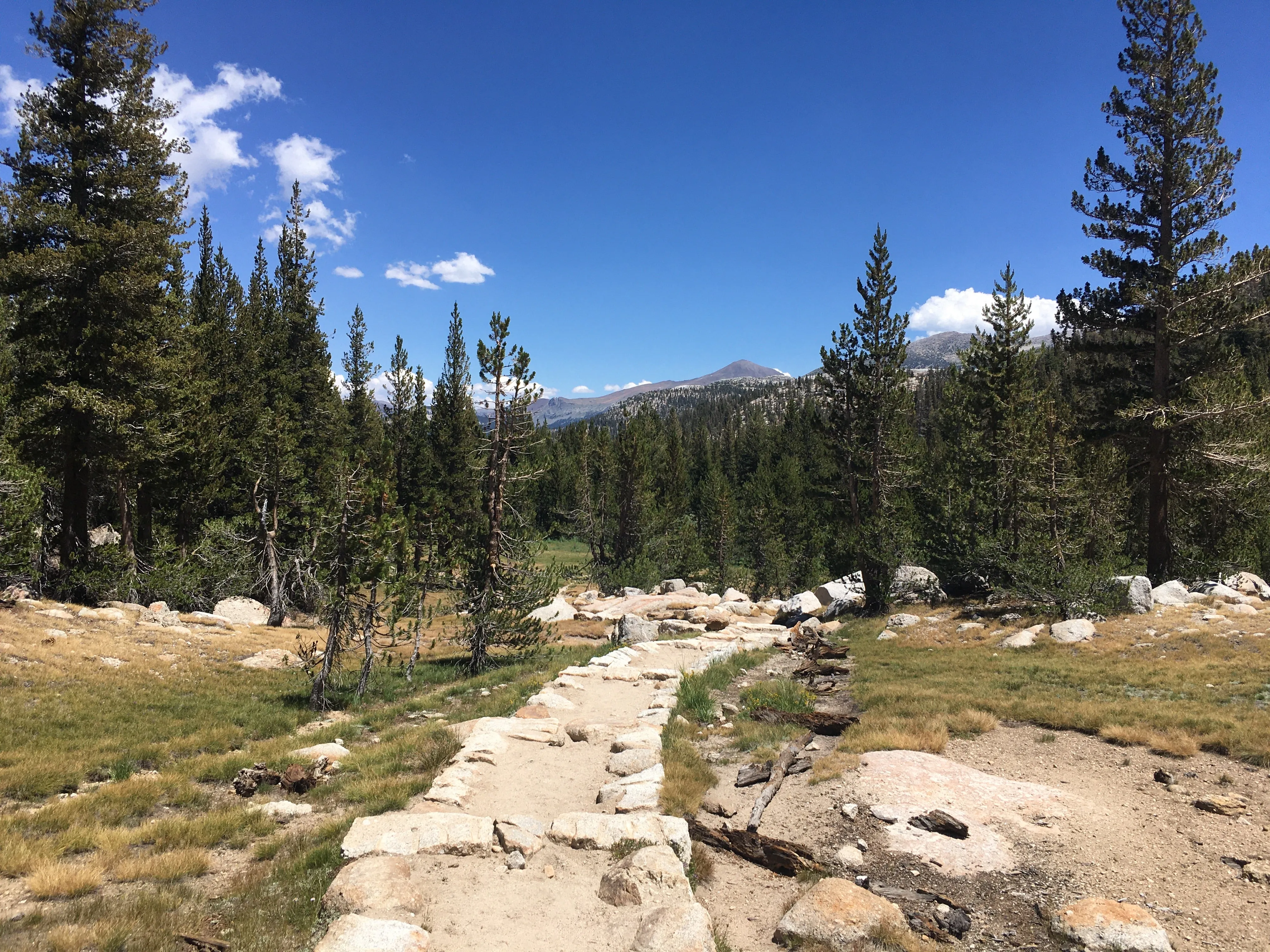 Backpacking Yosemite: Vogelsang