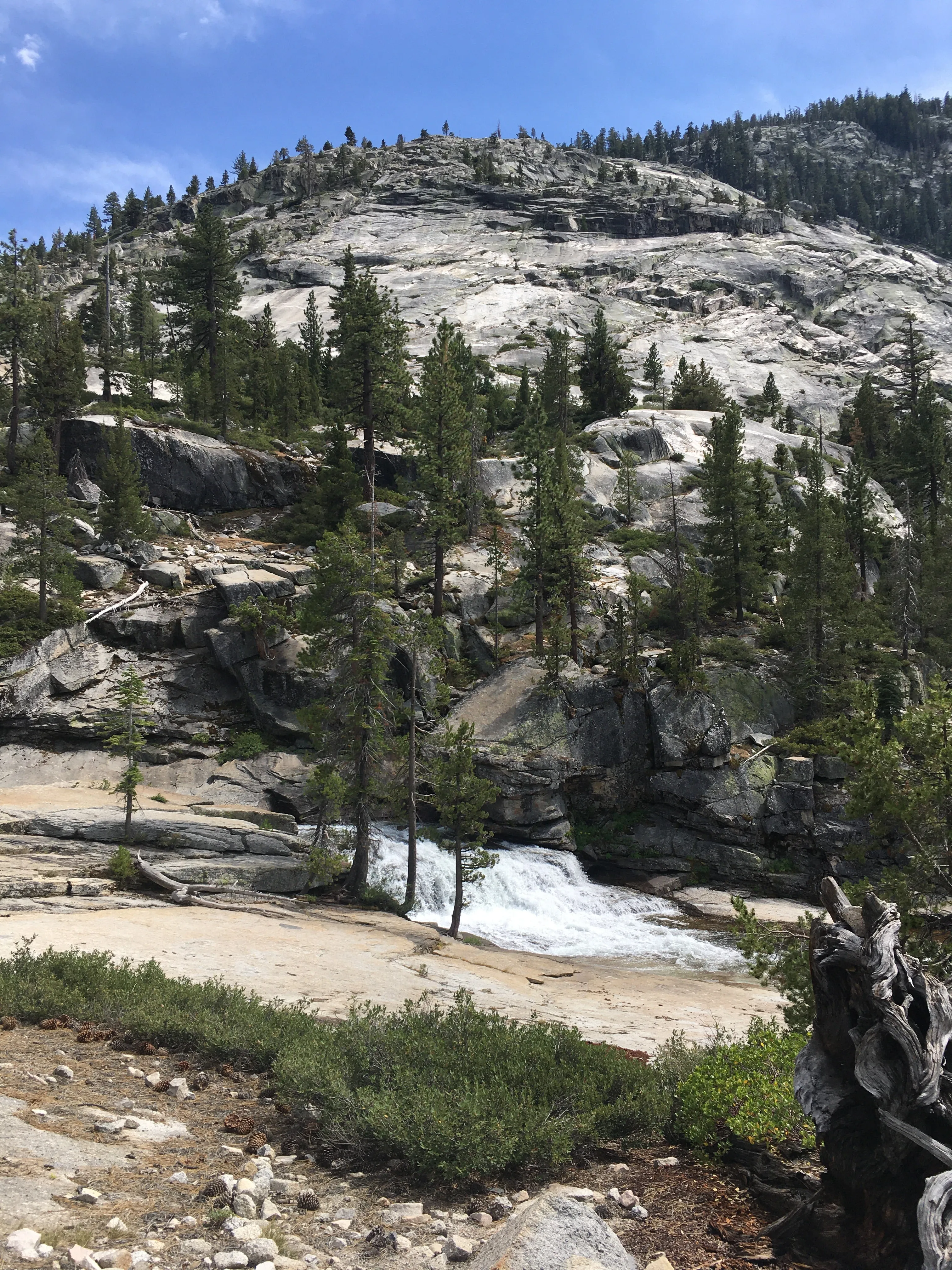 Backpacking Yosemite: Vogelsang