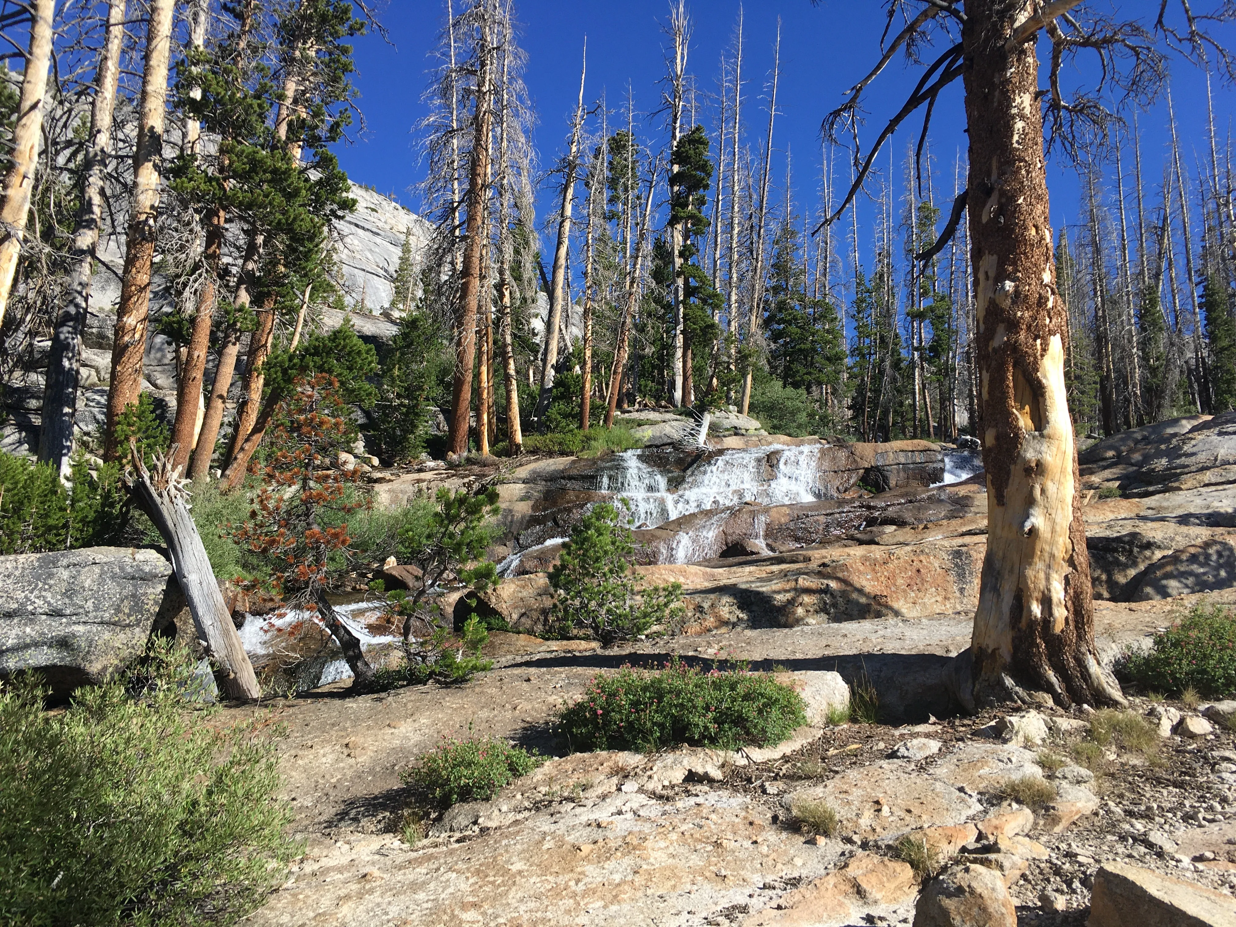 Backpacking Yosemite: Vogelsang