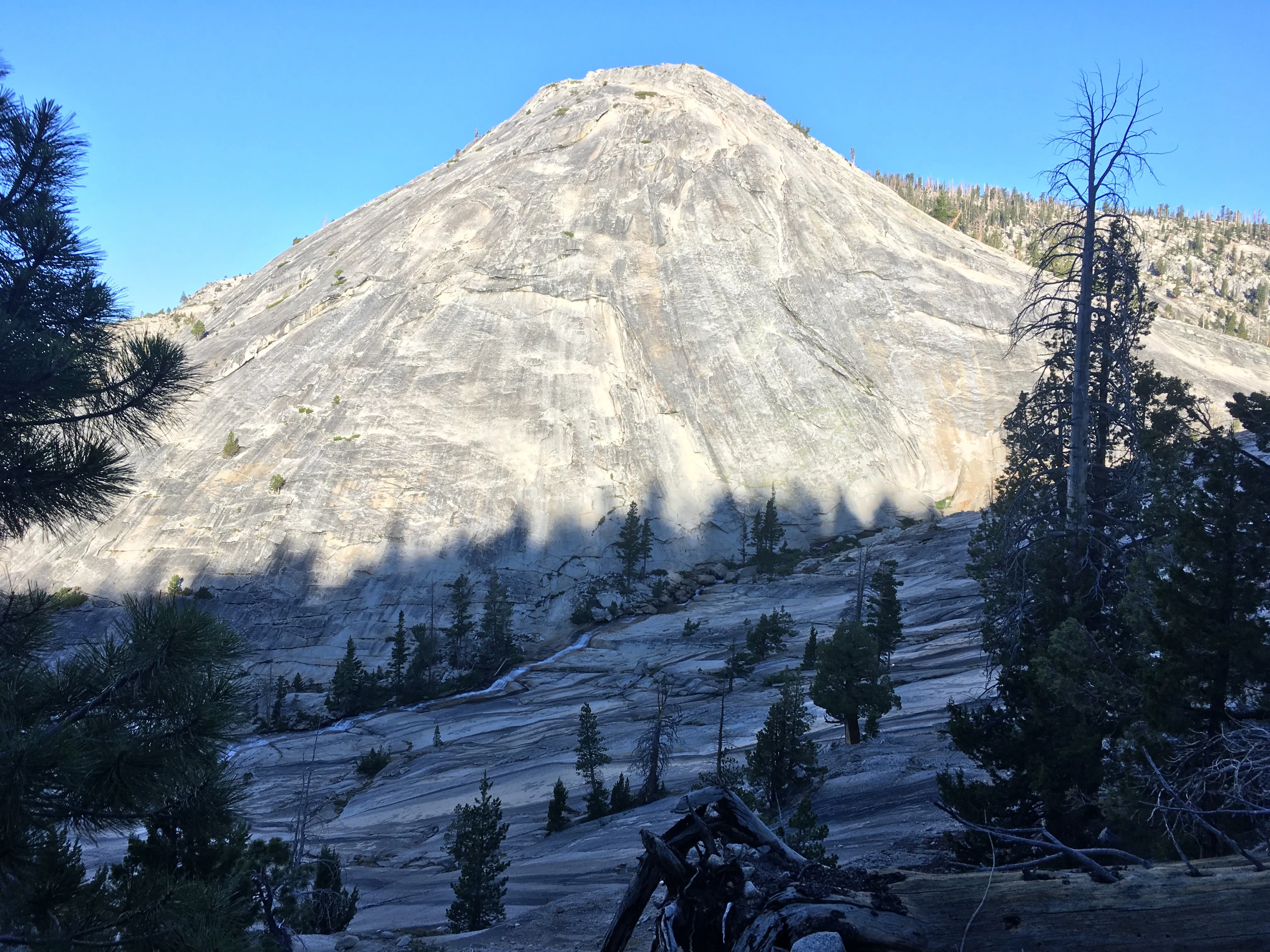 Backpacking Yosemite: Vogelsang