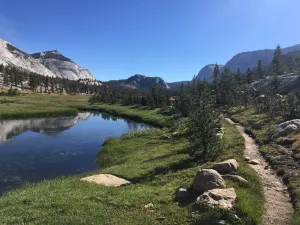 Backpacking Yosemite: Vogelsang