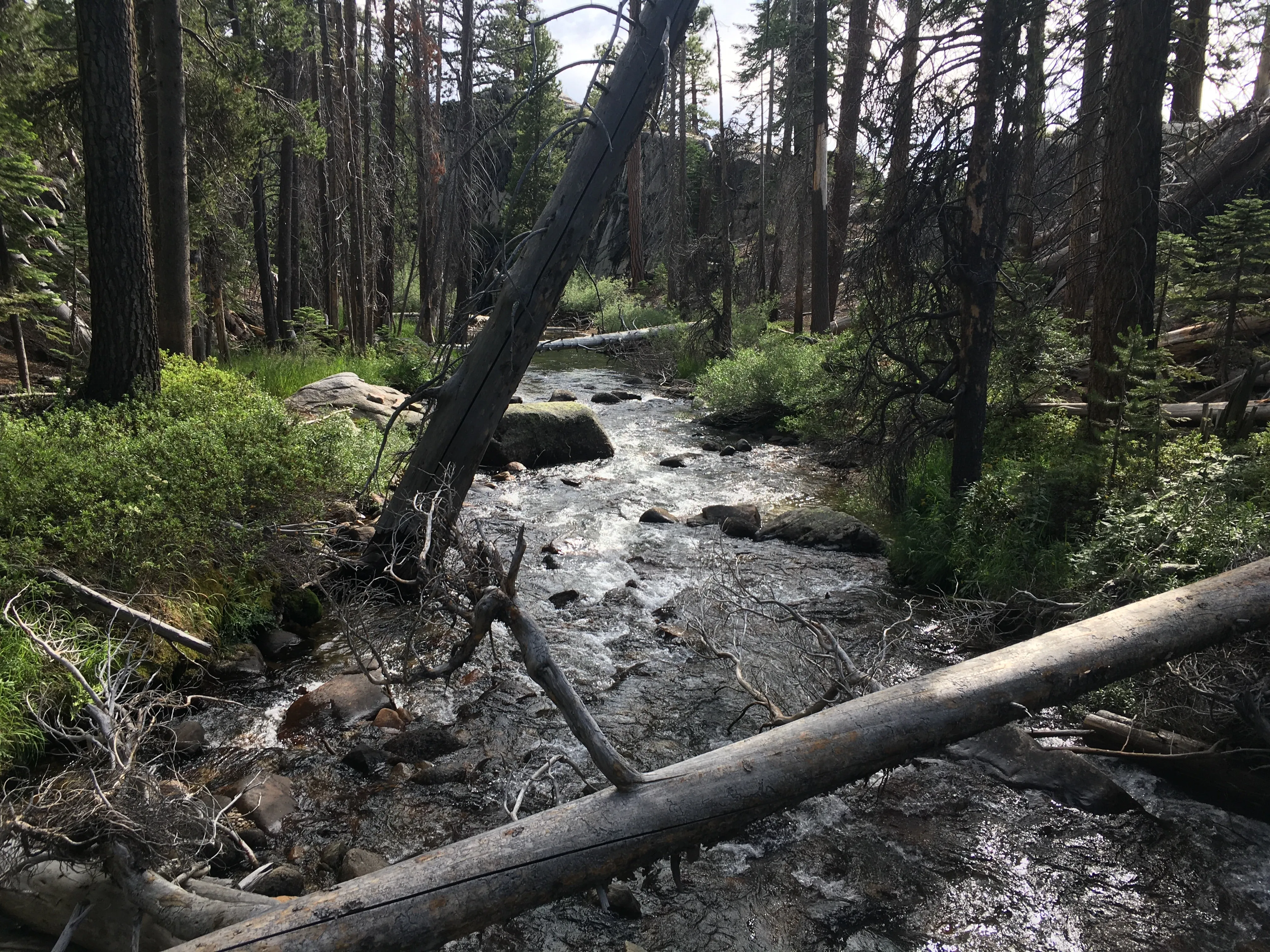 Backpacking Yosemite: Vogelsang