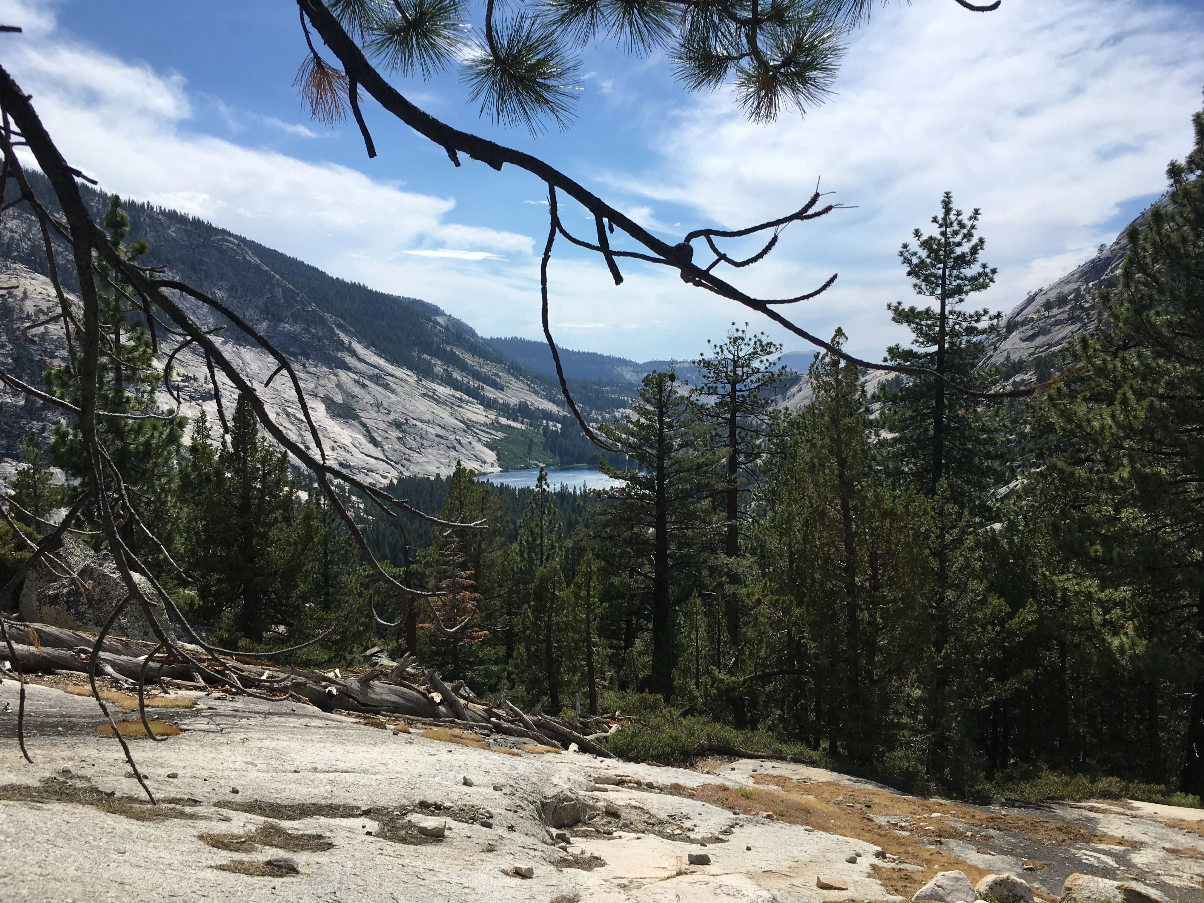 Backpacking Yosemite: Vogelsang