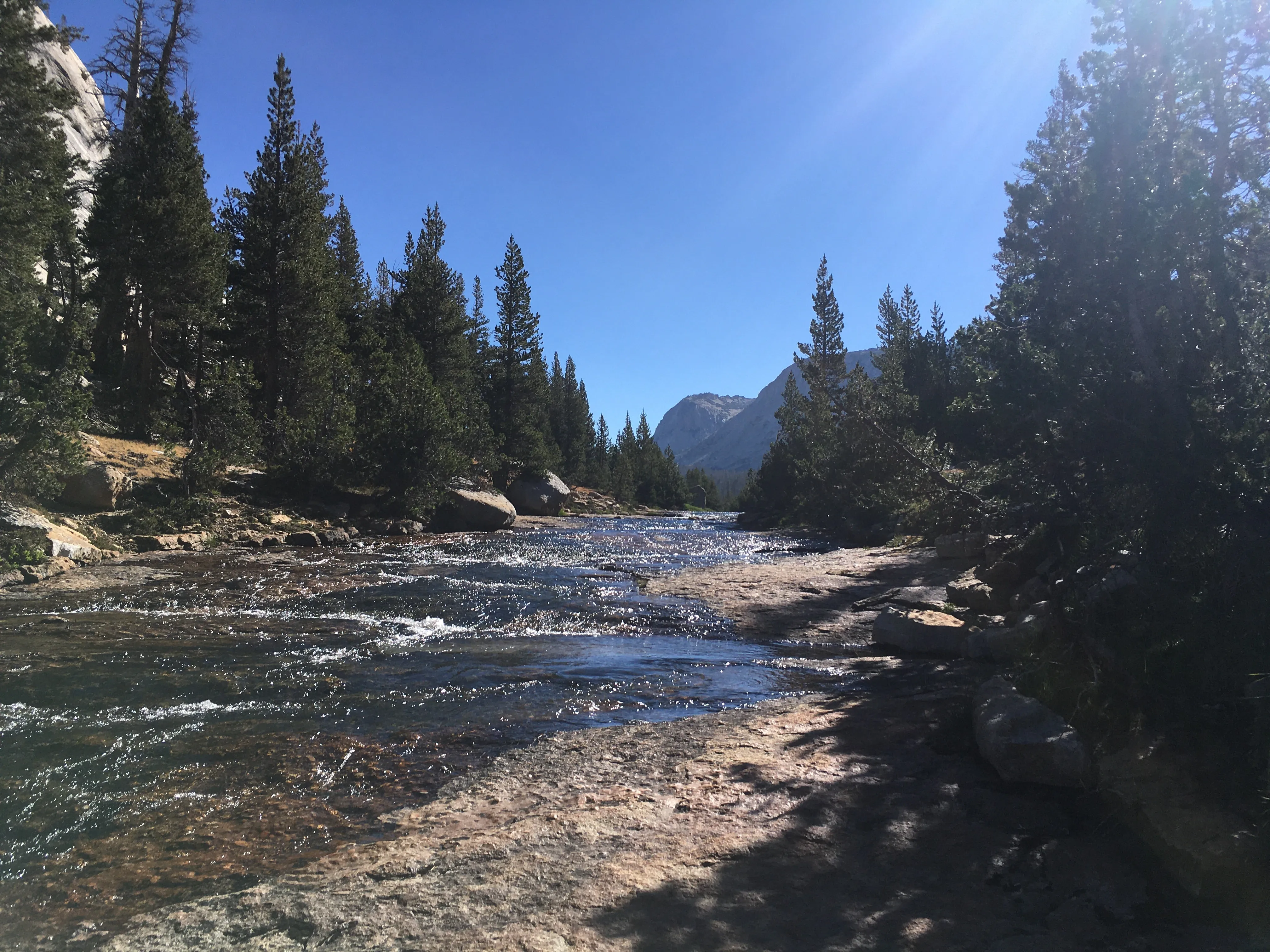 Backpacking Yosemite: Vogelsang