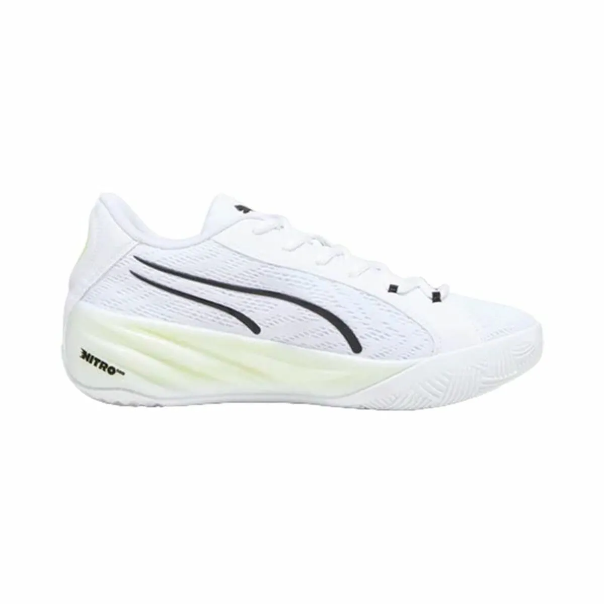 Basketball Shoes for Adults Puma All-Pro Nitro White