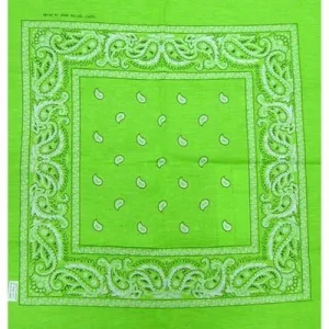 Lime Green Paisley Print Bandana