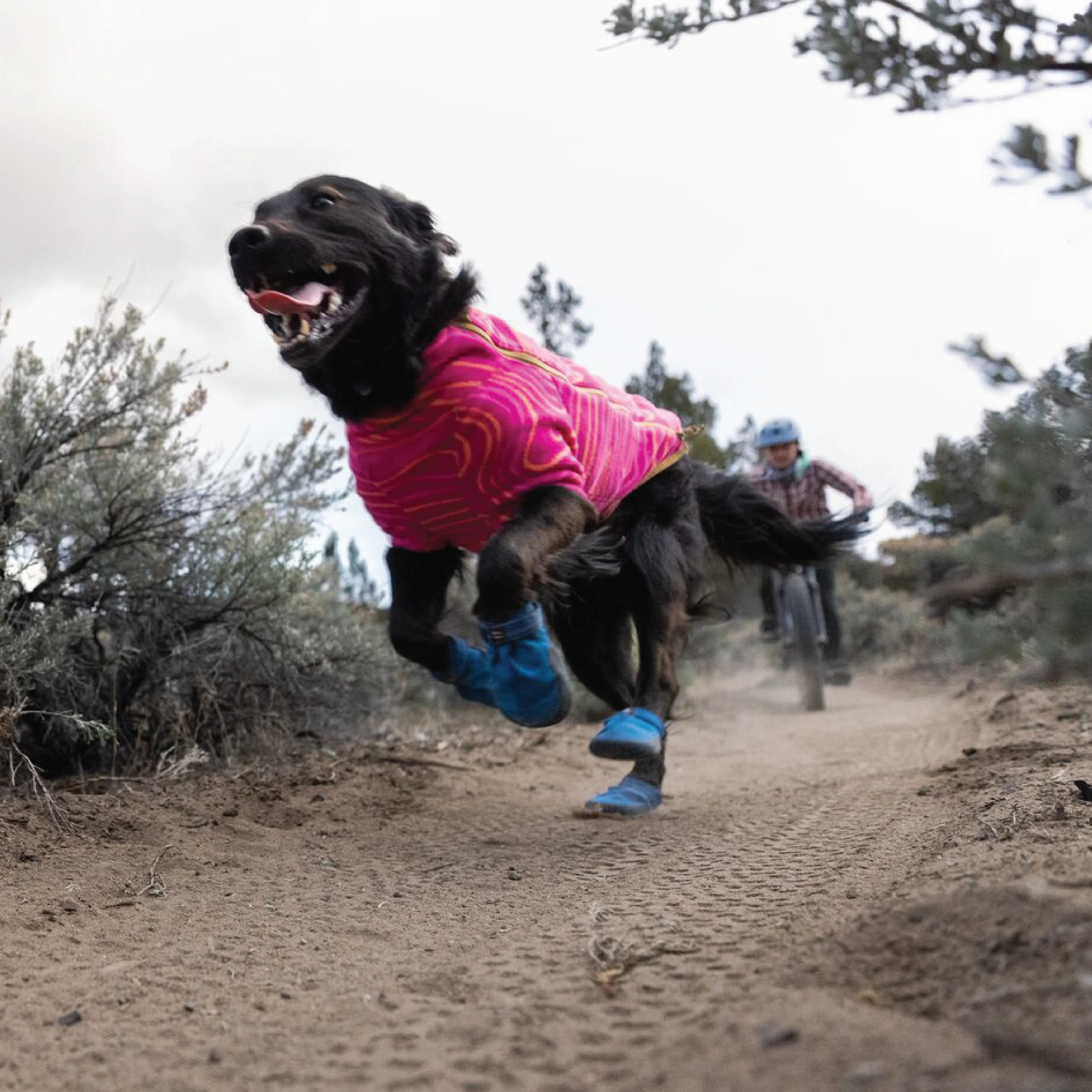 Ruffwear Dog Boots: Hi & Light Trail shoes PAIR