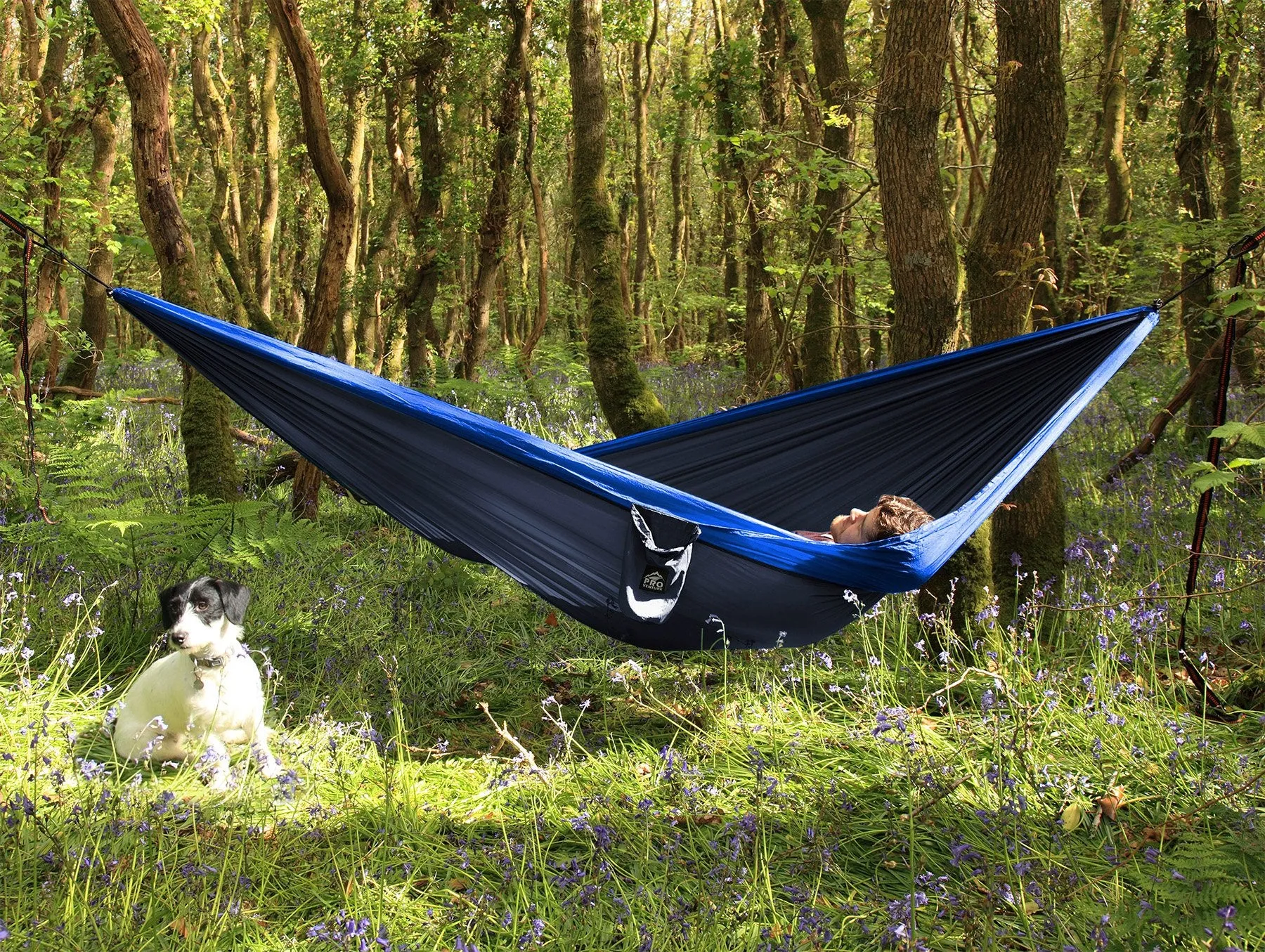 Single Camping Hammock with Tree Straps - Proventure